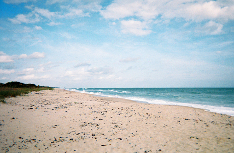 [Looking down a long stretch of sand with the ocean lapping on the right side of the image. Sky is blue with puffy white clouds.]